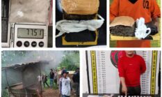 Polda Sumut Tangkap 342 Pelaku Narkoba dalam Lima Hari, 57 Sarang Digerebek