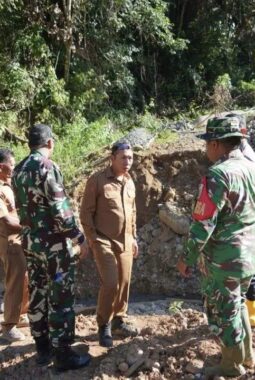 Dapat Keluhan Warga, Bupati JTP Hutabarat Langsung Turun Tinjau Jembatan di Simangumban