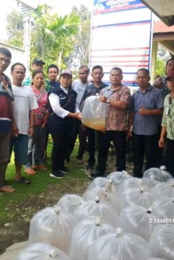 KKP Salurkan Benih Ikan Korban Bencana Sumatera di Humbang Hasundutan